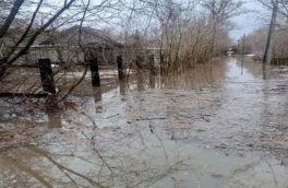 Паводки в Нижегородской области затопили 63 дома и 19 участков автодорог