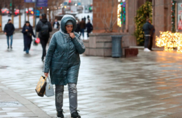 Заморозки вернутся в Москву в конце рабочей недели