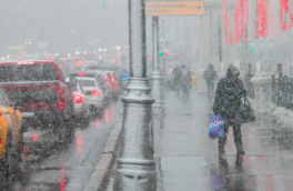 Зима придет в Москву на 3 дня: синоптик предупредил о снегопадах и сильной гололедице