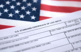ICE США начала расследование схем "родильного туризма" для получения гражданства