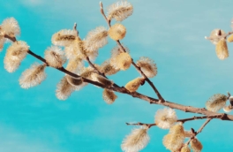 Народные приметы 5 апреля: что можно и нельзя делать в этот день