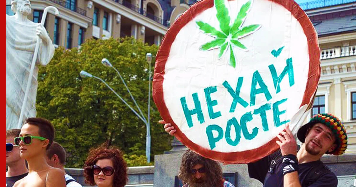 легализация конопли в украине