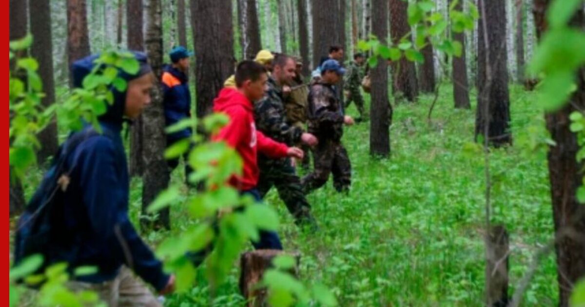 Мечтаю снять леса со спаса. Потерялся в лесу. Волонтеры в лесу. Заблудился в лесу.