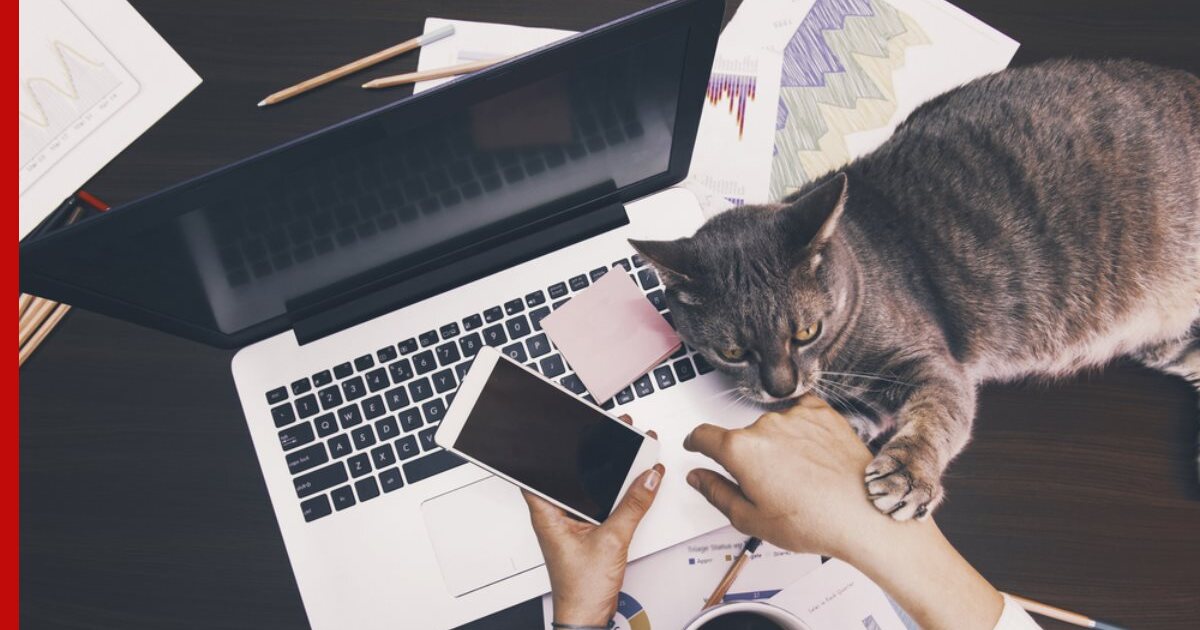 Работа На Новый Год Удаленно