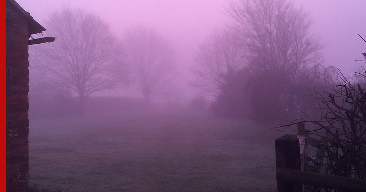 Туман на трассе. Серый туман. Навис туман. Сильный туман. Туманная осень.