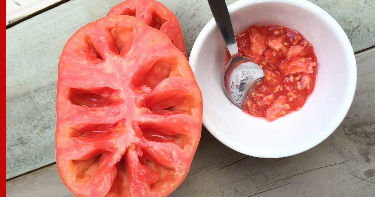 Сохранить семена томатов. Приспособление для вынимания помидоров из банки.