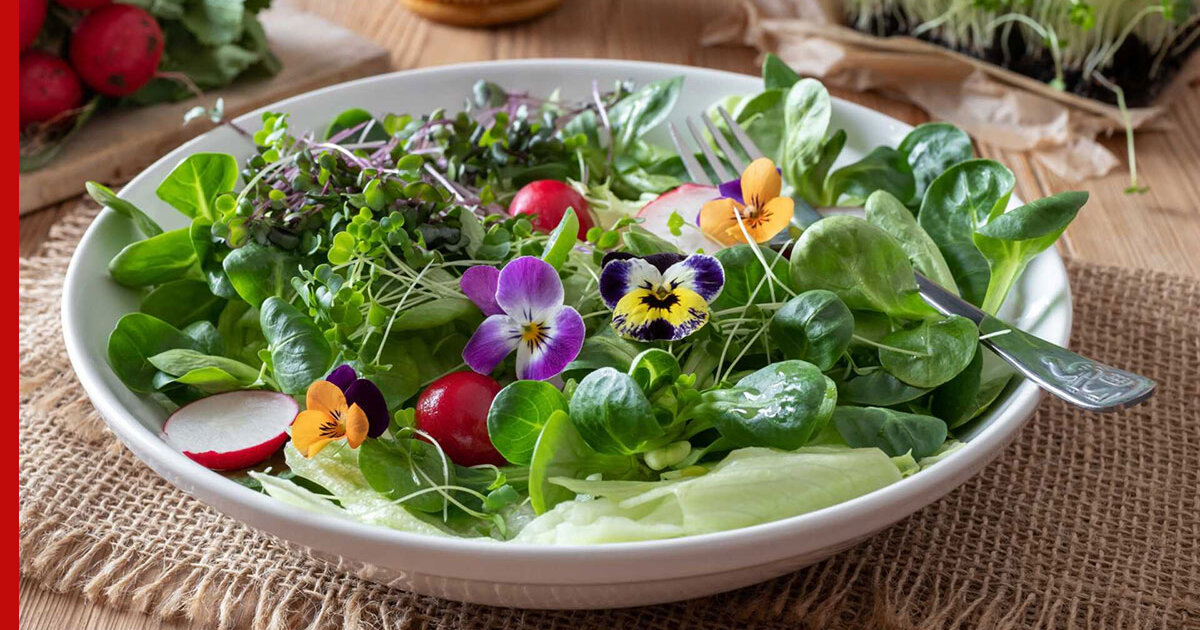Свежий салат с цветами