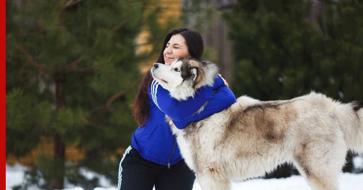 Собака с хозяином на диване