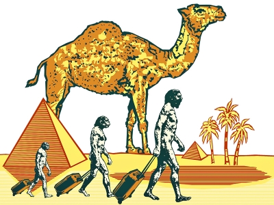 Поедем, дорогая, «дикарем»