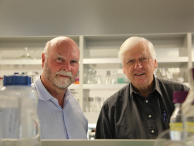 Синтез жизни